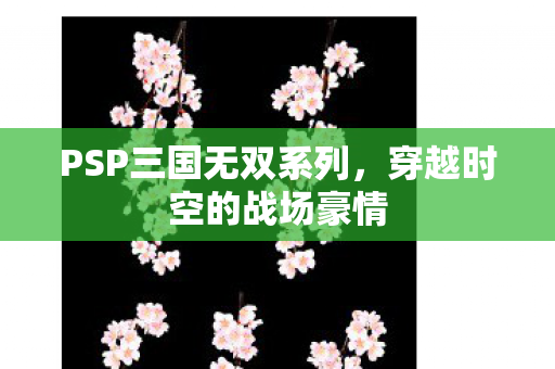 PSP三国无双系列，穿越时空的战场豪情