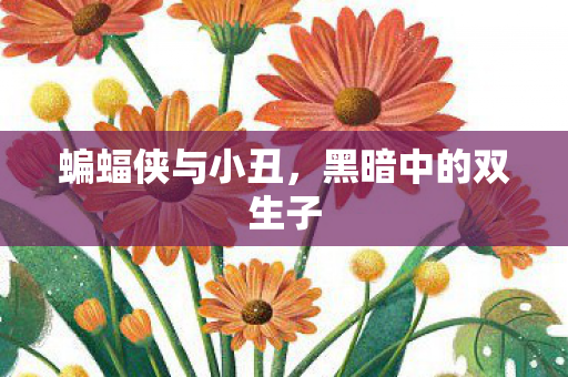 蝙蝠侠与小丑，黑暗中的双生子