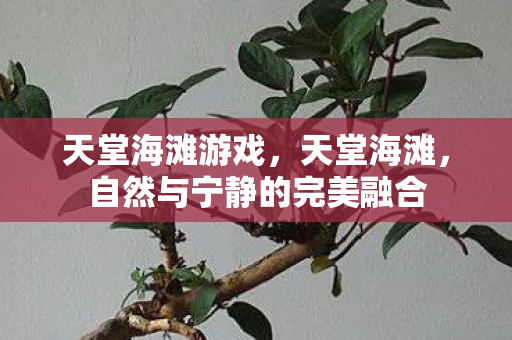 天堂海滩游戏，天堂海滩，自然与宁静的完美融合