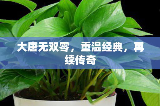 大唐无双零，重温经典，再续传奇