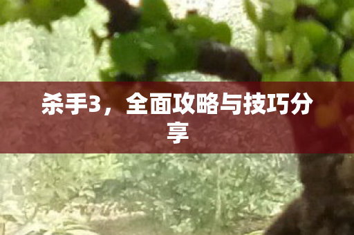 杀手3,全面攻略与技巧分享 杀手3,全面攻略与技巧分享