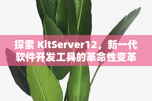 探索 KitServer12，新一代软件开发工具的革命性变革