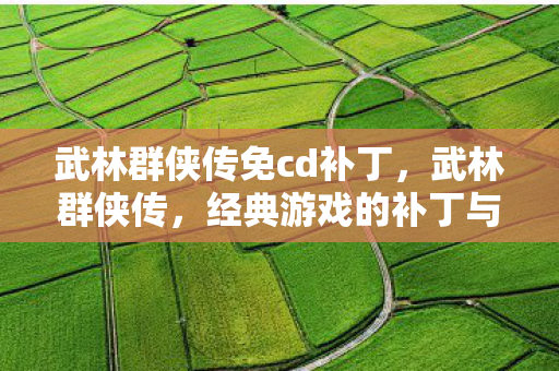武林群侠传免cd补丁，武林群侠传，经典游戏的补丁与社区文化