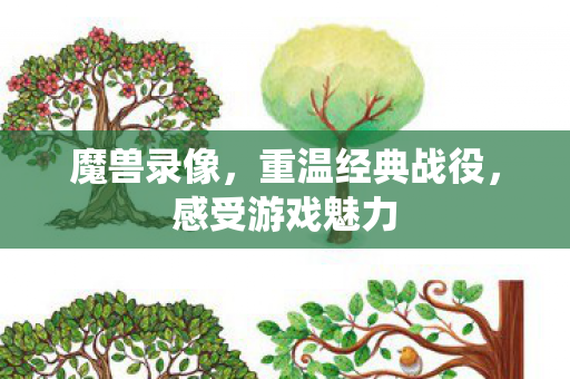 魔兽录像，重温经典战役，感受游戏魅力