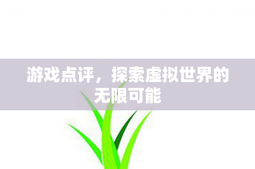 游戏点评，探索虚拟世界的无限可能