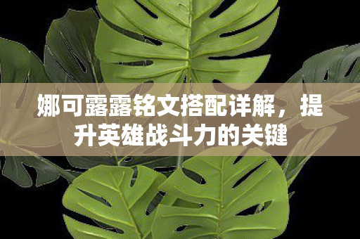 娜可露露铭文搭配详解，提升英雄战斗力的关键