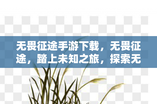无畏征途手游下载，无畏征途，踏上未知之旅，探索无限可能