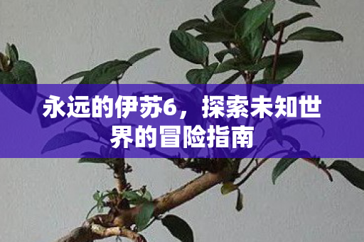 永远的伊苏6，探索未知世界的冒险指南
