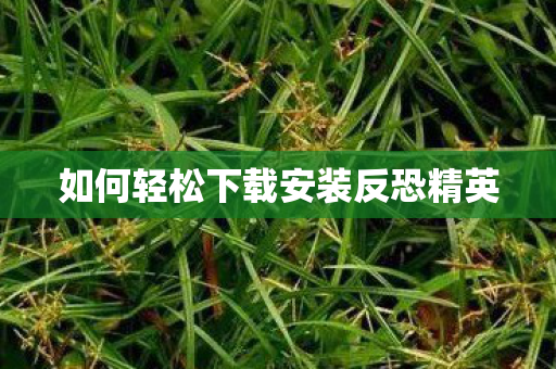 如何轻松下载安装反恐精英