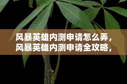 风暴英雄内测申请怎么弄，风暴英雄内测申请全攻略，如何成功获得测试资格？