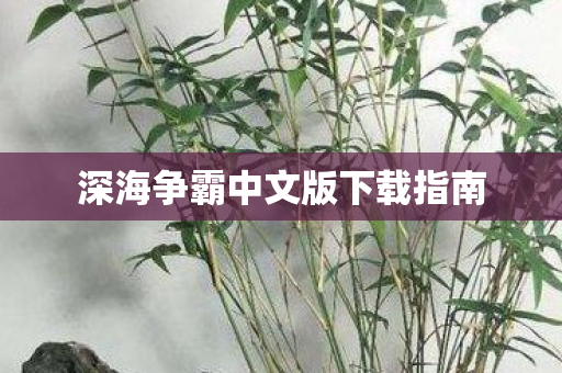 深海争霸中文版下载指南 深海争霸中文版下载指南