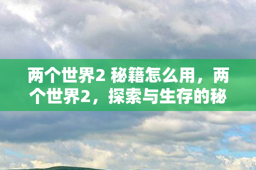 两个世界2 秘籍怎么用，两个世界2，探索与生存的秘籍