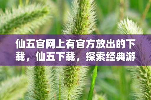 仙五官网上有官方放出的下载，仙五下载，探索经典游戏的数字遗产