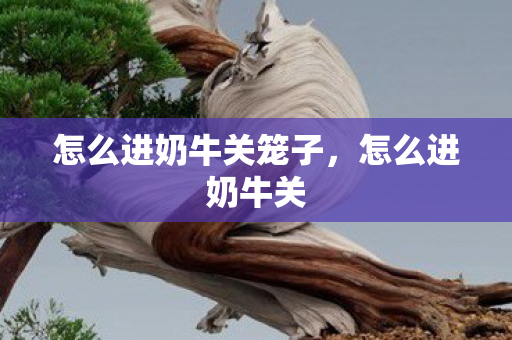怎么进奶牛关笼子，怎么进奶牛关