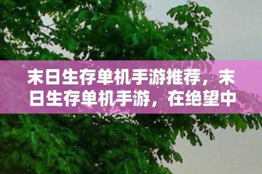 末日生存单机手游推荐，末日生存单机手游，在绝望中寻找希望