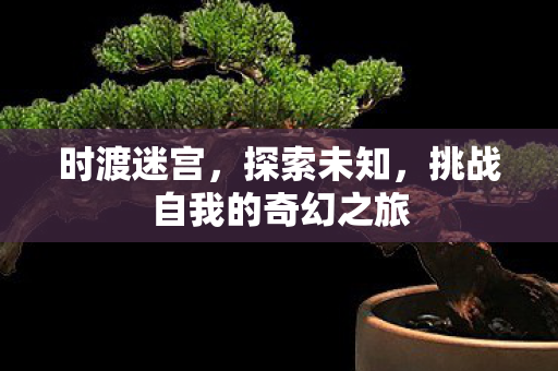 时渡迷宫，探索未知，挑战自我的奇幻之旅