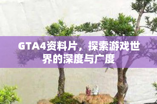 GTA4资料片，探索游戏世界的深度与广度