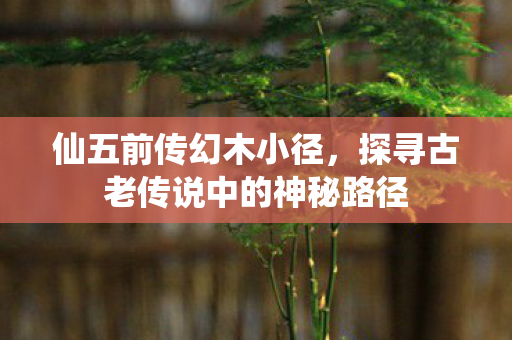 仙五前传幻木小径,探寻古老传说中的神秘路径 仙五前传幻木小径,探寻古老传说中的神秘路径
