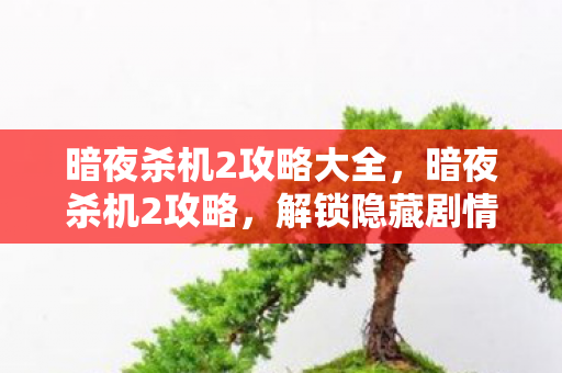 暗夜杀机2攻略大全，暗夜杀机2攻略，解锁隐藏剧情与高效战斗技巧