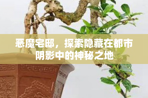恶魔宅邸，探索隐藏在都市阴影中的神秘之地