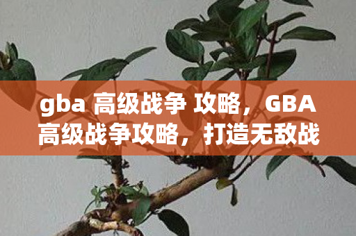 gba 高级战争 攻略，GBA高级战争攻略，打造无敌战队的策略指南