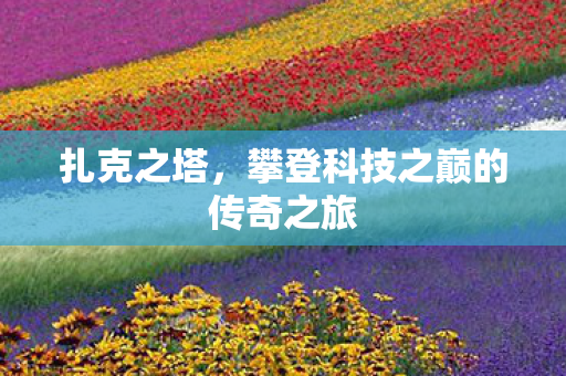 扎克之塔，攀登科技之巅的传奇之旅