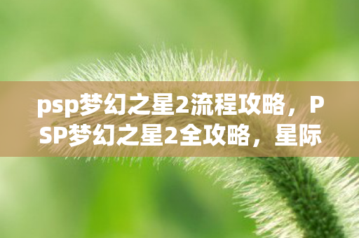 psp梦幻之星2流程攻略，PSP梦幻之星2全攻略，星际之旅的终极指南