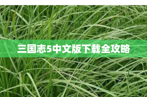 三国志5中文版下载全攻略