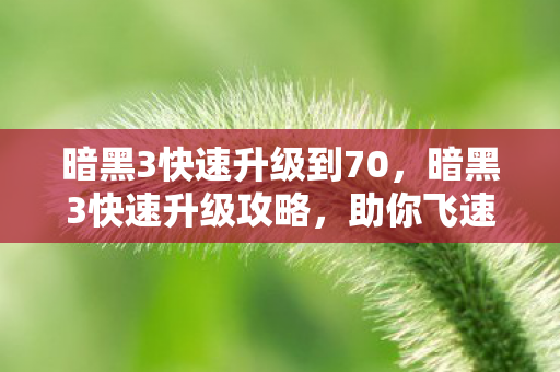 暗黑3快速升级到70，暗黑3快速升级攻略，助你飞速提升角色等级