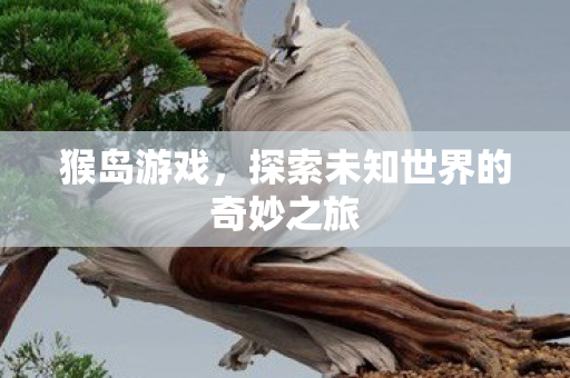猴岛游戏，探索未知世界的奇妙之旅