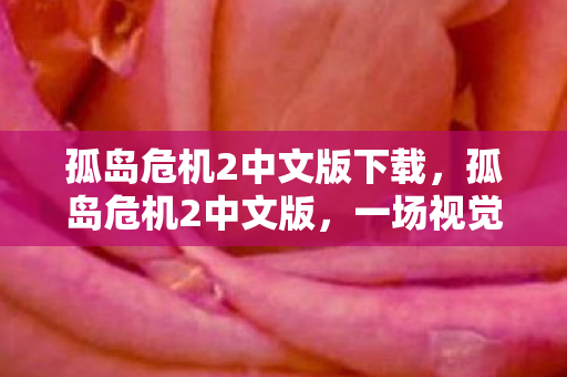 孤岛危机2中文版下载，孤岛危机2中文版，一场视觉与操作的盛宴