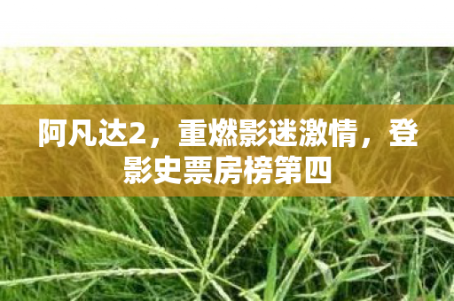 阿凡达2，重燃影迷激情，登影史票房榜第四