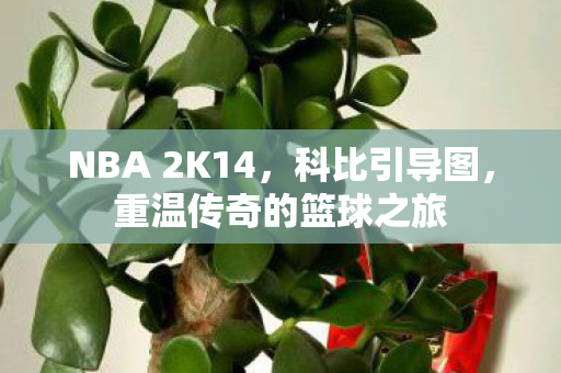 NBA 2K14,科比引导图,重温传奇的篮球之旅 NBA 2K14,科比引导图,重温传奇的篮球之旅