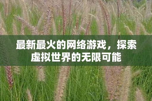最新最火的网络游戏，探索虚拟世界的无限可能