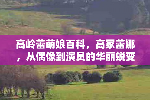 高岭蕾萌娘百科，高冢蕾娜，从偶像到演员的华丽蜕变