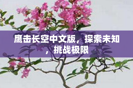 鹰击长空中文版，探索未知，挑战极限