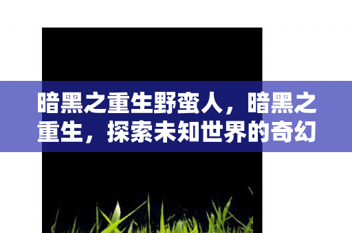 暗黑之重生野蛮人，暗黑之重生，探索未知世界的奇幻之旅