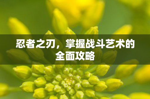 忍者之刃，掌握战斗艺术的全面攻略