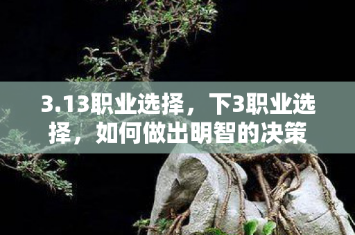 3.13职业选择，下3职业选择，如何做出明智的决策