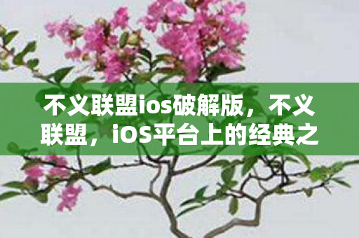 不义联盟ios破解版，不义联盟，iOS平台上的经典之作
