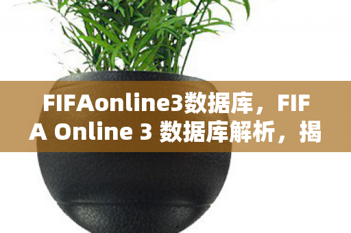 FIFAonline3数据库，FIFA Online 3 数据库解析，揭秘游戏背后的数据魔法
