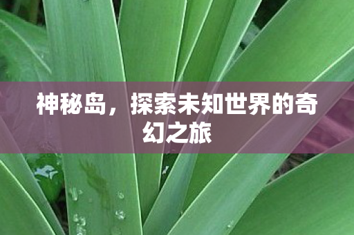 神秘岛，探索未知世界的奇幻之旅