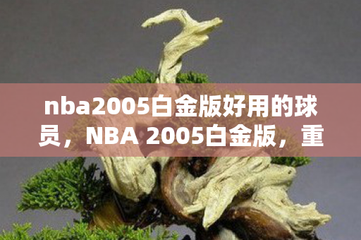 nba2005白金版好用的球员，NBA 2005白金版，重温经典篮球游戏的回忆