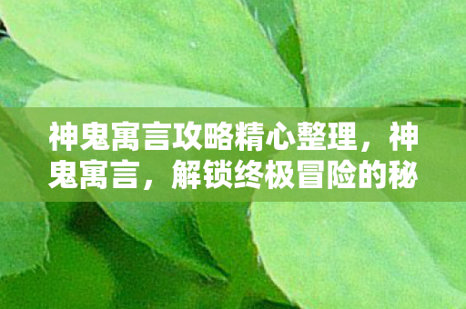神鬼寓言攻略精心整理，神鬼寓言，解锁终极冒险的秘籍
