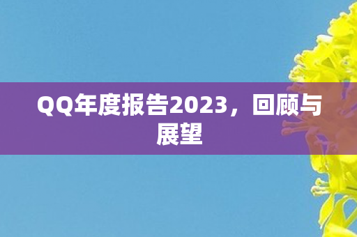 QQ年度报告2023，回顾与展望