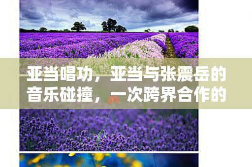 亚当唱功，亚当与张震岳的音乐碰撞，一次跨界合作的奇妙之旅