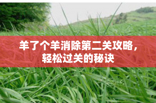 羊了个羊消除第二关攻略图片