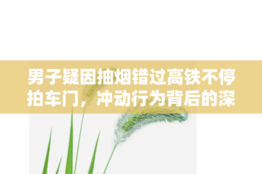 男子疑因抽烟错过高铁不停拍车门,冲动行为背后的深层思考 男子疑因抽烟错过高铁不停拍车门,冲动行为背后的深层思考