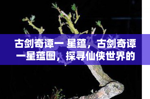 古剑奇谭一 星蕴，古剑奇谭一星蕴图，探寻仙侠世界的奥秘