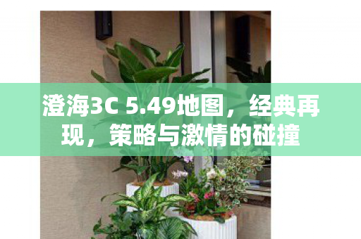 澄海3C 5.49地图，经典再现，策略与激情的碰撞